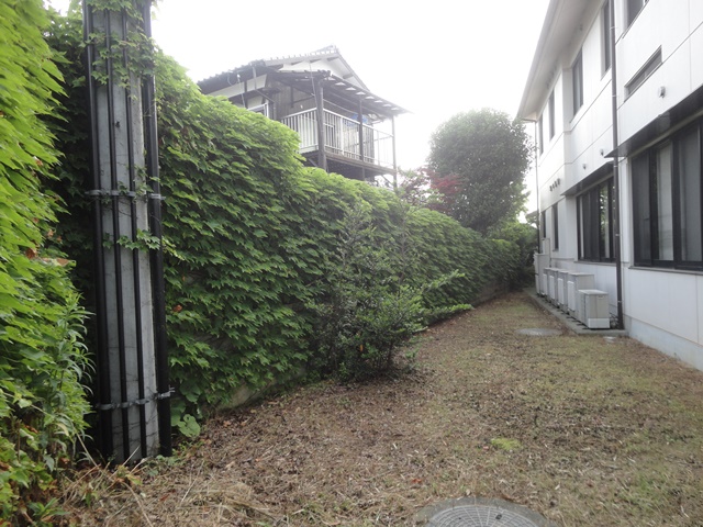 f0231709_7383723.jpg