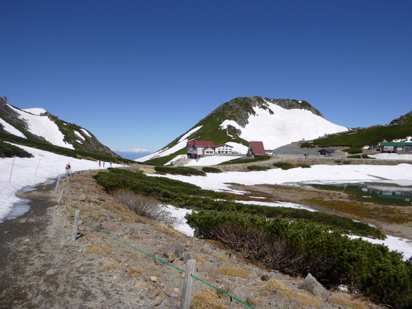 d0170615_2104145.jpg