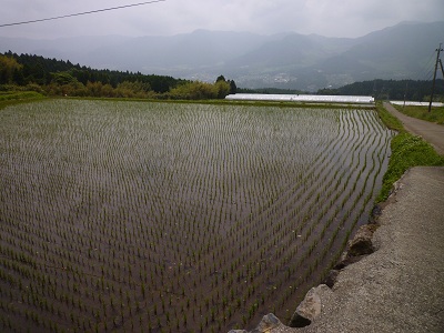 f0031420_23234720.jpg