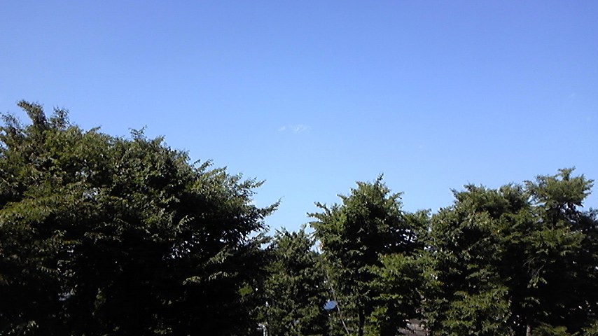 c0038722_14365644.jpg
