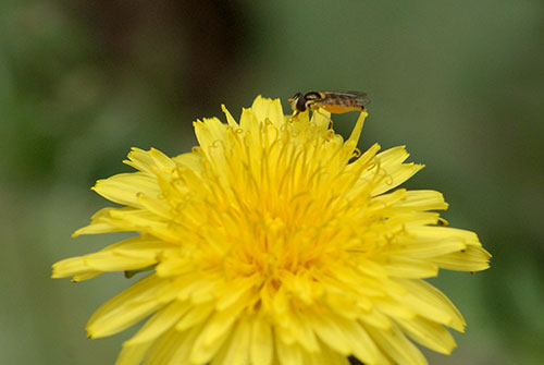 c0184125_23175655.jpg