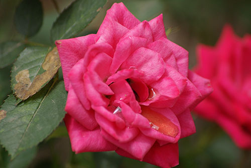c0184125_23183427.jpg