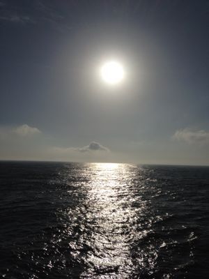 b0170134_09134.jpg