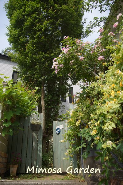 e0255037_22254149.jpg
