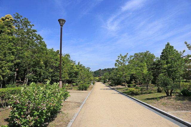 a0242438_19401377.jpg