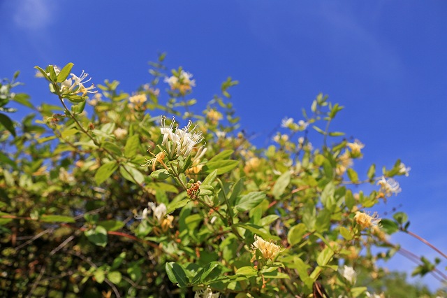 a0242438_19412478.jpg