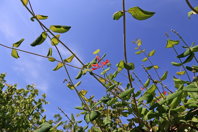 a0242438_19415230.jpg