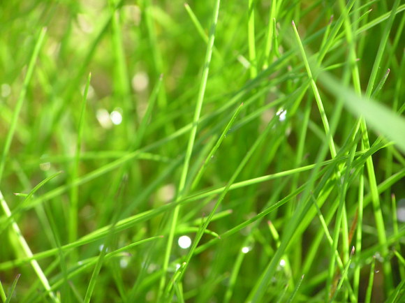 c0254440_12433219.jpg