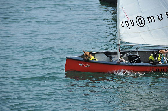 f0094843_0421631.jpg