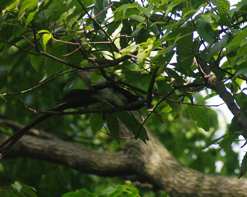 f0124451_0161484.jpg