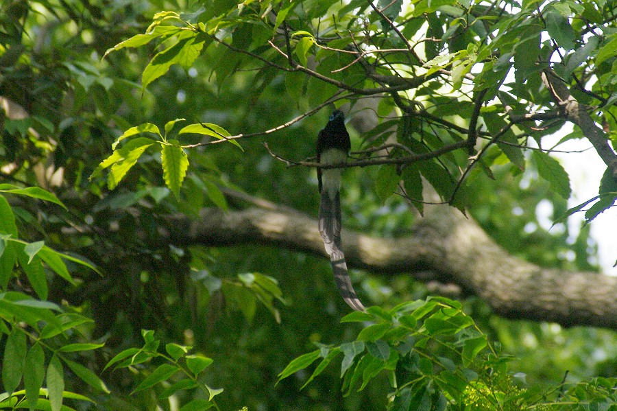 f0124451_0193291.jpg