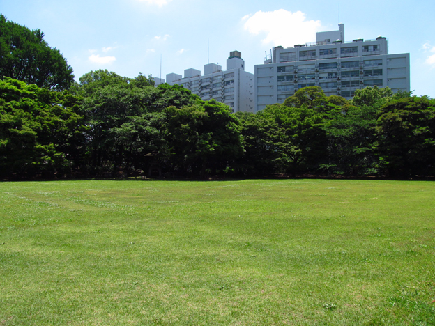 f0178153_12304518.jpg