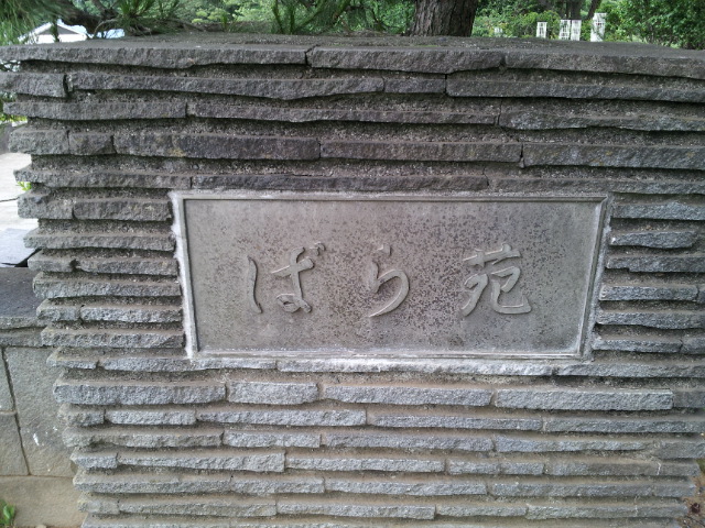 d0038458_17243832.jpg