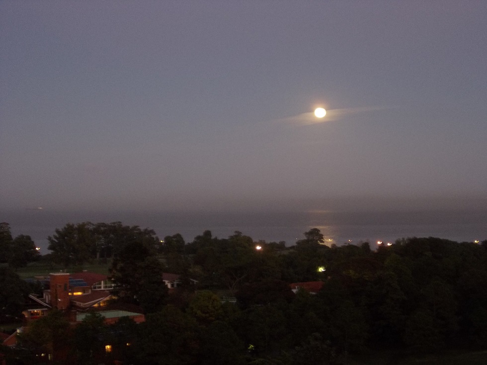 c0103368_5171883.jpg