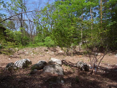c0166668_1010201.jpg