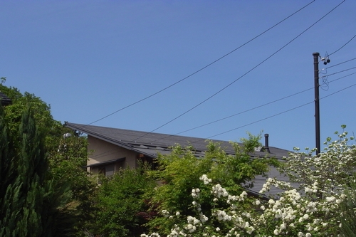 c0166668_10164240.jpg