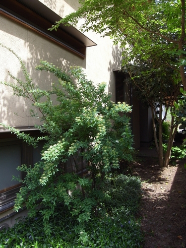 c0166668_10174093.jpg