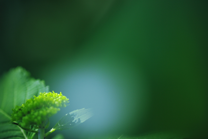 c0268775_6585519.jpg