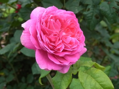 c0209377_2059398.jpg