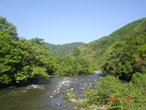 d0165378_843483.jpg