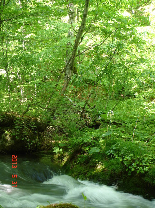 d0165378_8493871.jpg