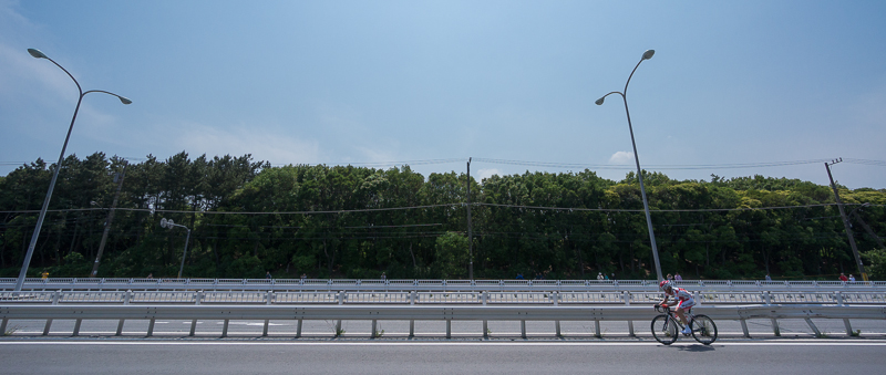 a0185693_8395820.jpg
