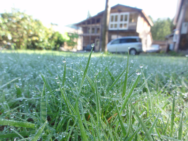 a0061599_7405081.jpg