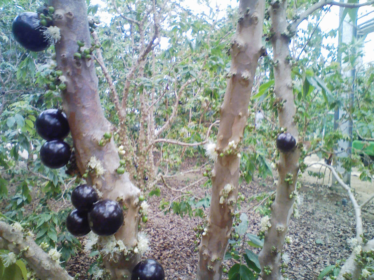 b0028299_2042343.jpg