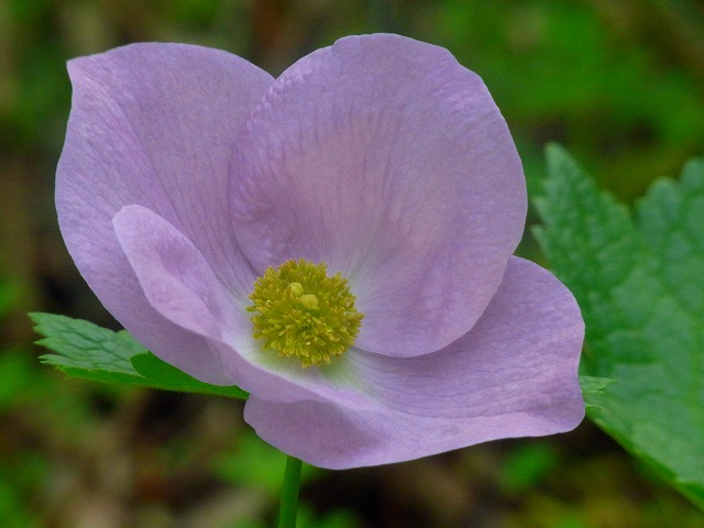 f0157901_21441650.jpg