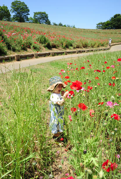 c0149404_224228.jpg
