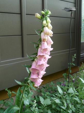 e0234004_22131881.jpg