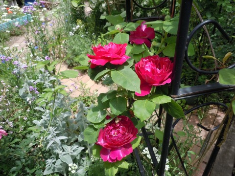 c0117007_21184814.jpg