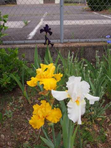 c0117007_21305044.jpg