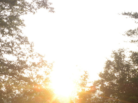 e0199407_23551661.jpg