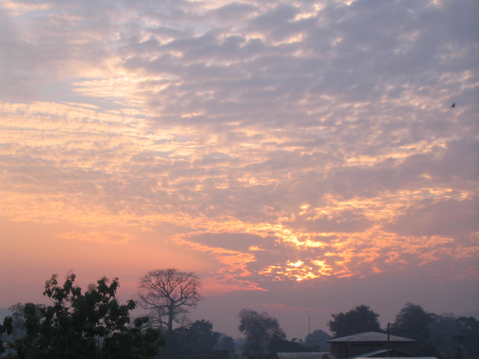 b0182709_803439.jpg