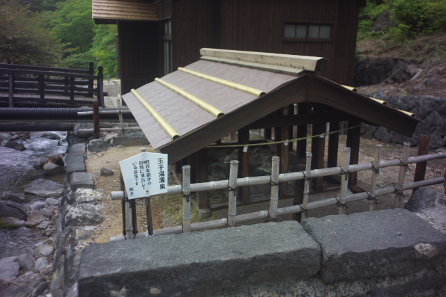 d0143011_21454771.jpg