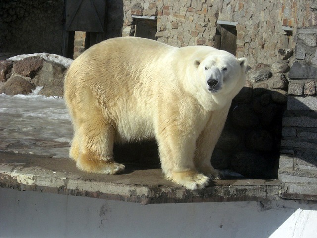 a0151913_317840.jpg