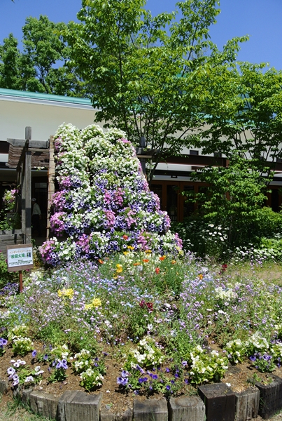 d0179113_80080.jpg