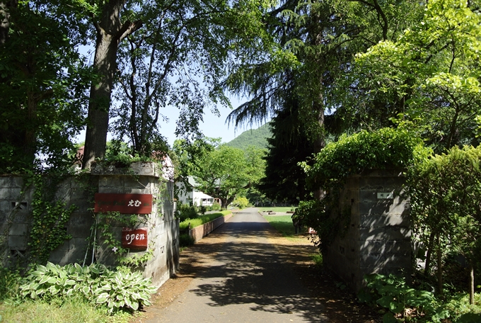 d0179113_836586.jpg