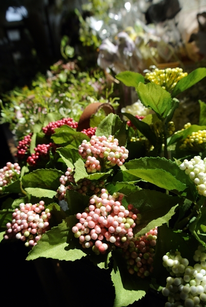 d0179113_9131240.jpg