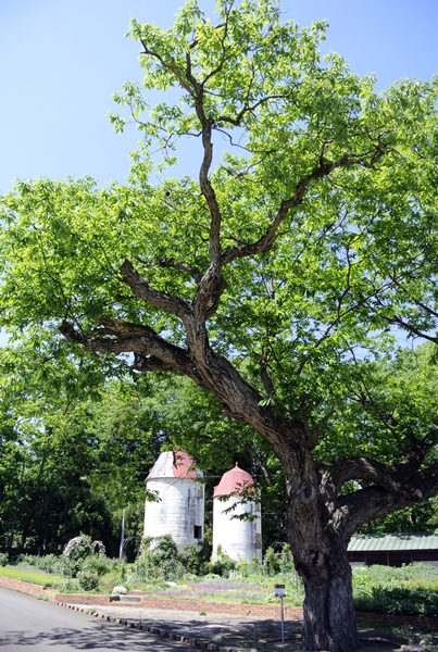 d0179113_9444912.jpg