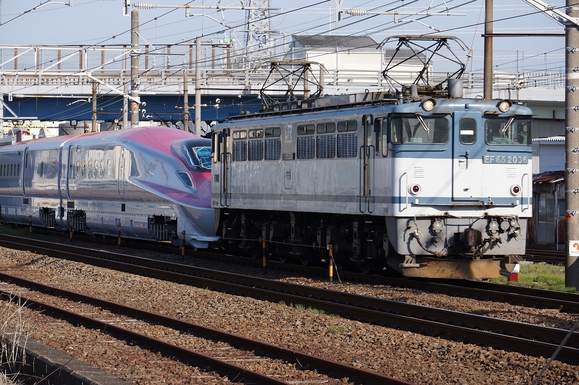a0009920_7435320.jpg