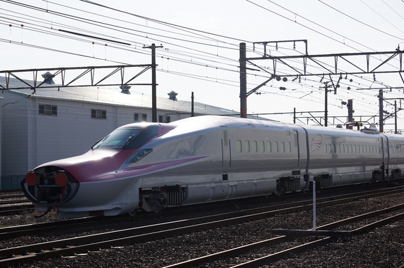 a0009920_7441940.jpg
