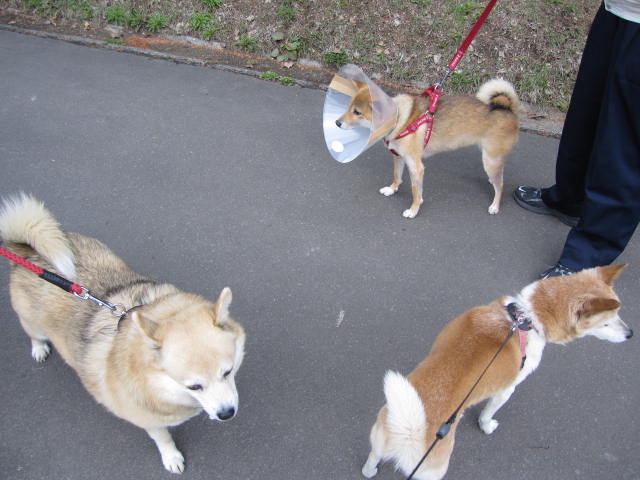 e0191826_23351733.jpg