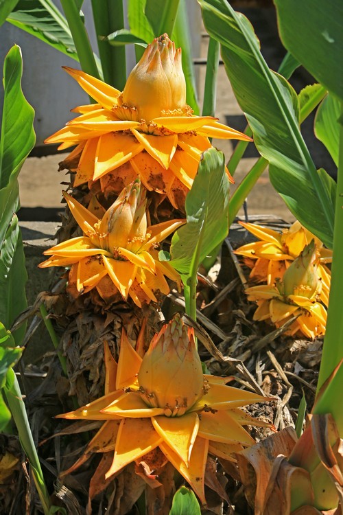 c0104227_10122314.jpg