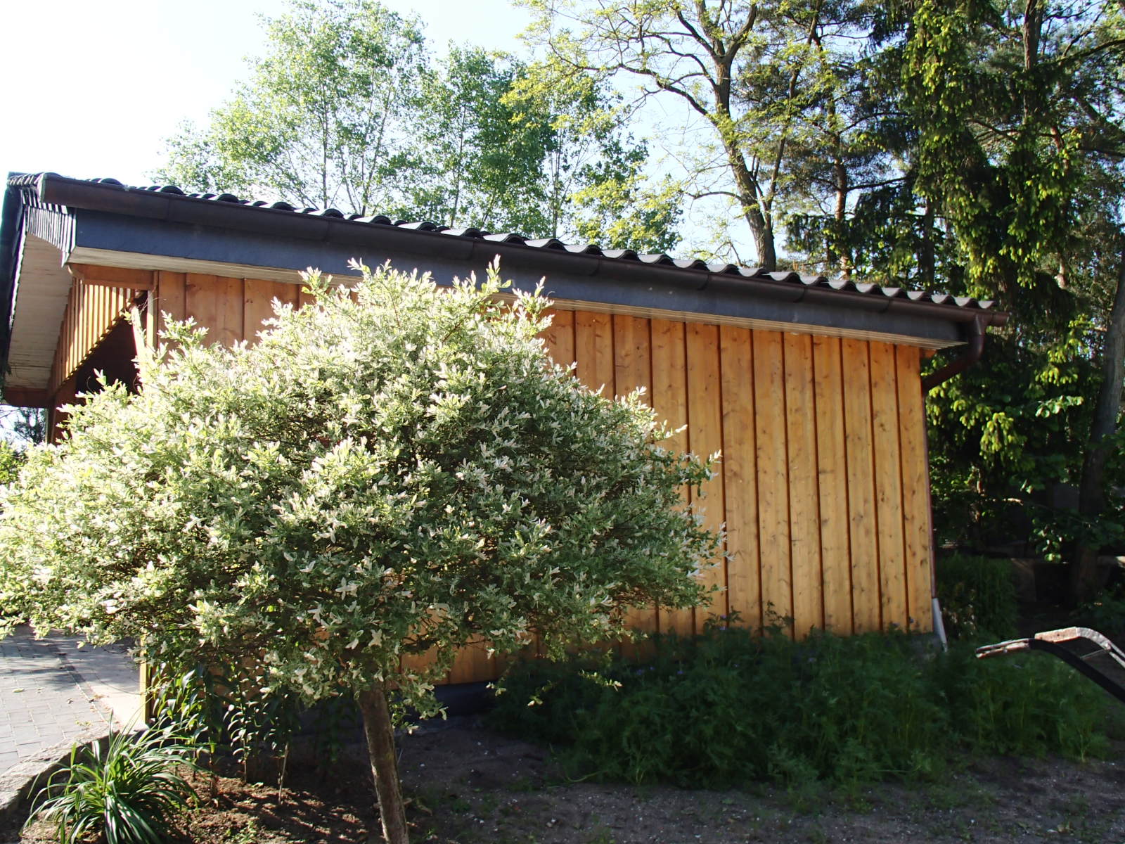 a0282833_1505144.jpg