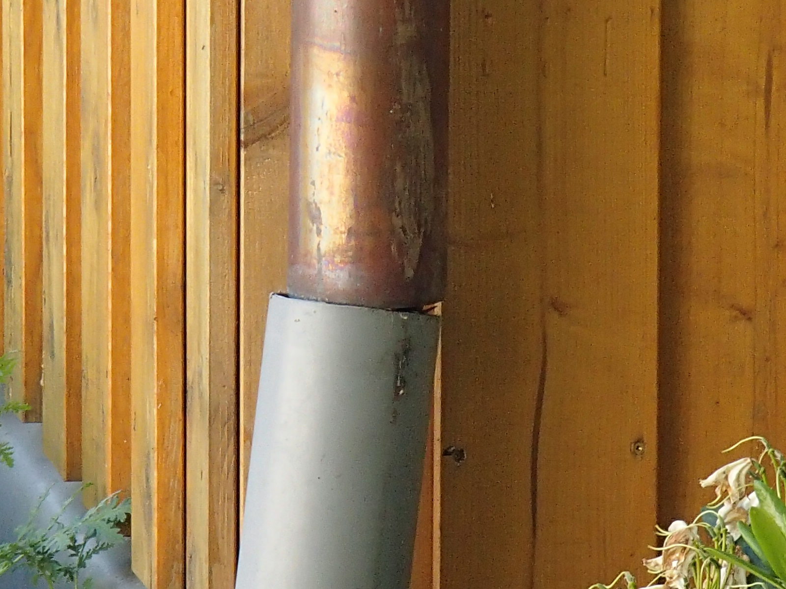 a0282833_155593.jpg