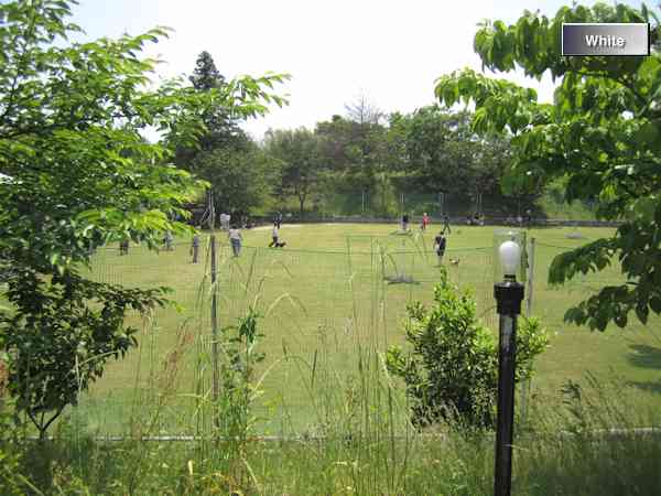 c0227134_9374451.jpg