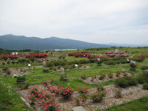 f0061334_22303128.jpg