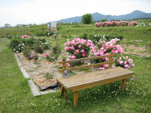 f0061334_22304761.jpg